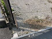 ・現地写真