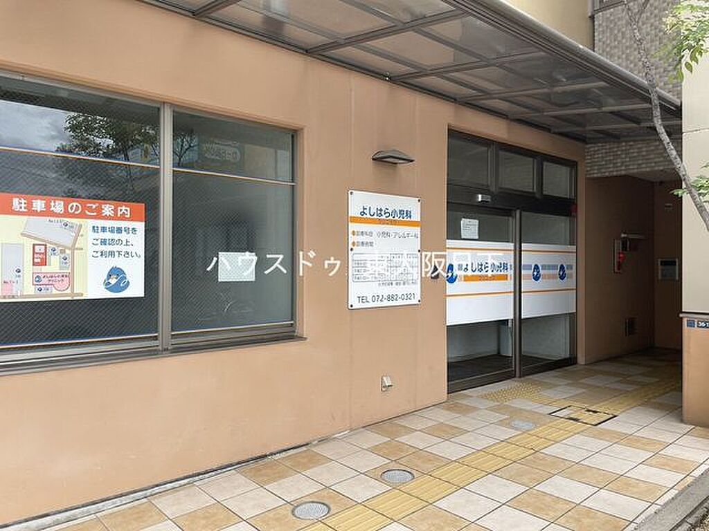 Image 7