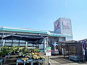 コメリハード＆グリーン田野店 450m