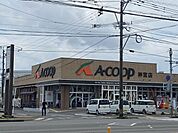 Aコープ　神宮店 870m