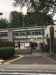 川口市安行原　売土地