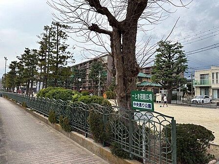 中央通り公園 450m