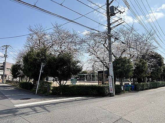 上青木南公園 ...