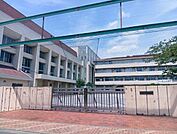 足立区立舎人第一小学校 500m