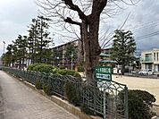 中央通り公園 370m