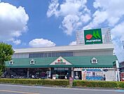 マルエツ　元郷店 550m