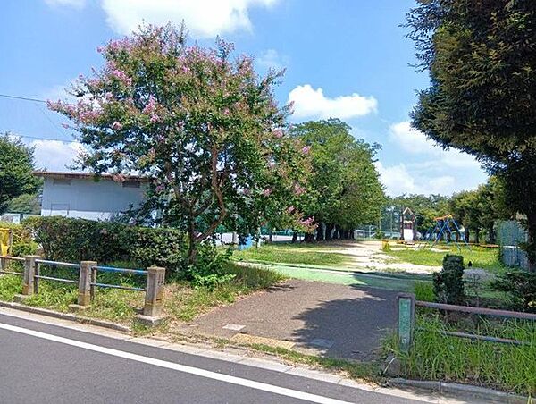 周辺を拡大表示
