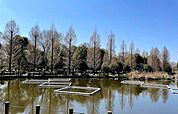 川口自然公園 540m