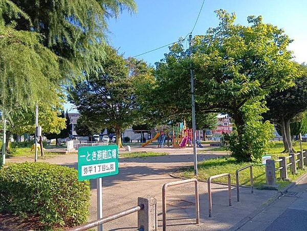 周辺を拡大表示