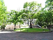北側にあるマンション敷地内には木々があり、緑豊かな環境でゆったりと過ごすことができます。