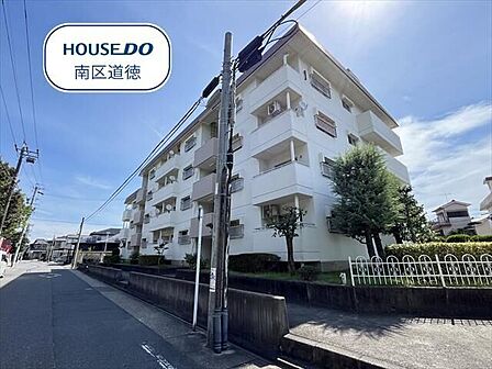 スーパー、ドラッグストア、病院など徒歩10分圏内に揃う、生活に便利な住環境です。