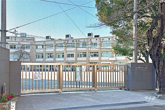 若木小学校[公...