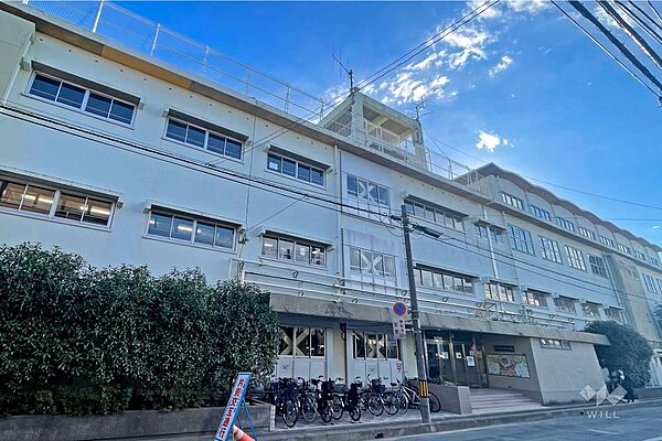 周辺を拡大表示
