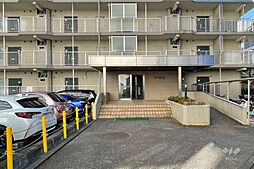 13 / 31