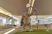 ゴリラ公園の外観