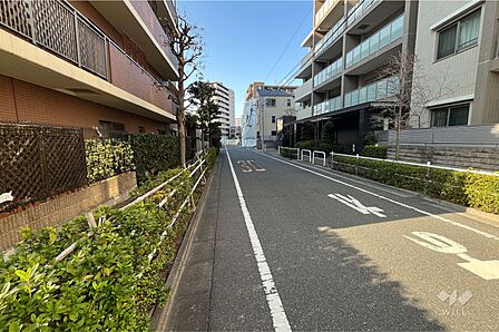 敷地東側の前面道路(南側から)