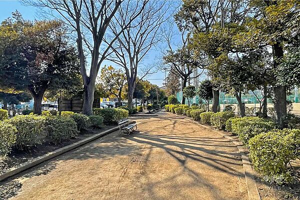 周辺を拡大表示