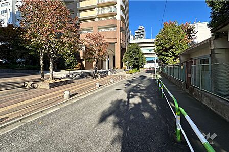 敷地の南東側前面道路(南西側から)