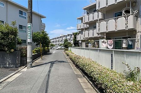 敷地の南側前面道路（東側から）