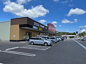 クスリのアオキまで８００ｍ徒歩１１分。