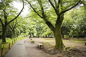 コーポ山内第2 202 ｜ 東京都杉並区善福寺１丁目9-13（賃貸アパート1K・2階・19.44㎡） その18