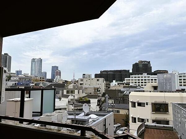 インペリアル常盤松 ｜東京都渋谷区広尾3丁目(賃貸マンション2LDK・5階・62.61㎡)の写真 その11