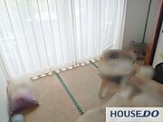落ち着いた雰囲気です。