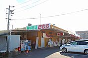 新鮮市場きむら木太店