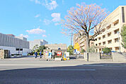 香川大学