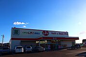 くすりのレデイ長尾店