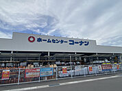 コーナン多肥店