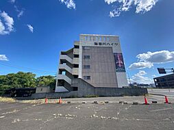 8 / 11