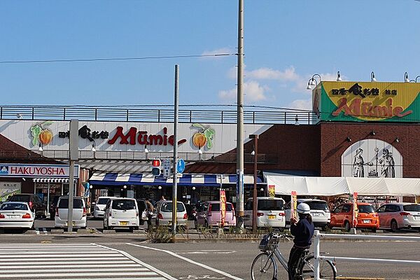 グラン　フェリシア　I 102｜香川県高松市六条町(賃貸アパート1LDK・1階・40.82㎡)の写真 その24