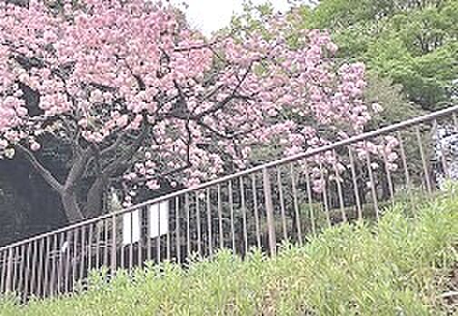 ココハイム鶴見 ｜神奈川県横浜市鶴見区生麦4丁目(賃貸アパート1K・3階・18.80㎡)の写真 その24