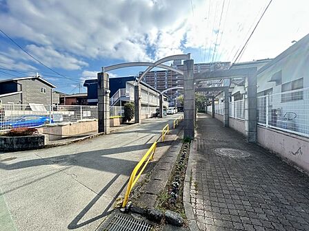 大切なペットとも一緒に生活できます!お散歩もしやすい整備された道路です♪