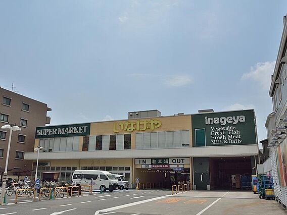 新鮮で品質の良...