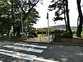 緑豊かな公園で...