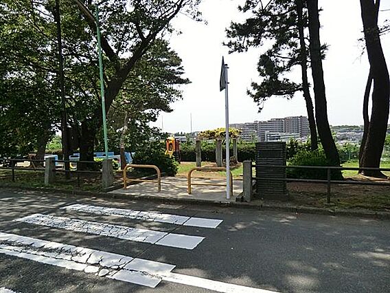 緑豊かな公園で...