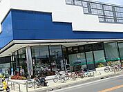 生鮮食品や惣菜、酒類、生活用品など豊富な品揃えが魅力で、地域一番店を目指して価格とサービスに挑戦しています