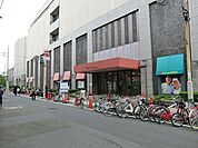 日吉駅直結のショッピングモール。食品、ファッション、雑貨、電機店、ドラッグストアなどが入りお仕事帰りのお買い物にも便利です。