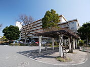 住宅街の一角にある公園で、遊具が設置され幅広い世代が体を動かせる空間になっています。周囲は保育園や住宅が点在し、散歩途中に立ち寄ったり地域のイベントにも利用される場所です