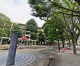 神楽坂エリアの住宅街に位置する、石組みの滑り台がシンボルの公園です。緑豊かな園内には遊具や広場があり、春には桜が美しく咲き誇る、地域の人々に愛される憩いのスポットです♪