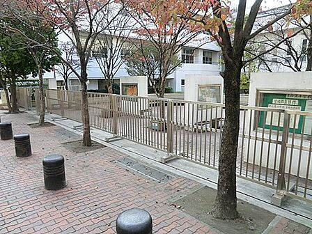 横浜市立東品濃小学校(220m)