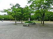 地元のイベントやフリーマーケット、音楽ライブなどが開催されることもある。クニックや散歩、軽い運動が楽しめるスペースが広がっています。