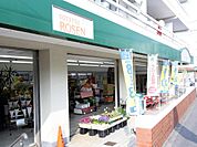 毎日新鮮な食料品が揃います。チラシ特売なども実施されます。家計を預かる主婦には嬉しいですね。
