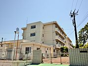 横浜市立平戸小学校(1220m)