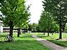 周辺：大型遊具やカヌーで遊べる公園。お休みの日は、お子様連れで賑わいます。