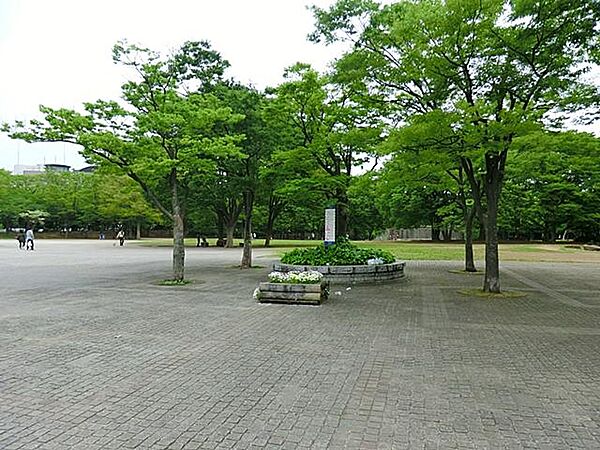周辺を拡大表示