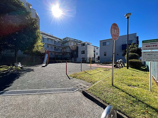 周辺を拡大表示