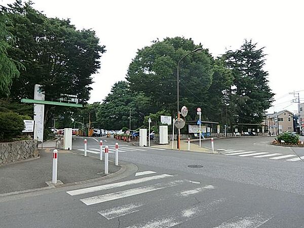 周辺を拡大表示
